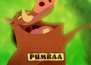 PUMBAA