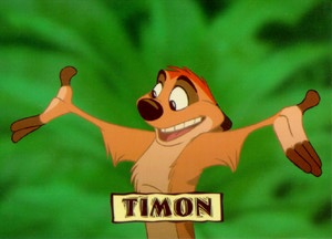 TIMON