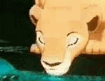 http://www.lionking.org/images/animated/nala%20drinks.gif