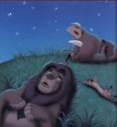 Stargazing friends. Pumbaa, Simba and Timon.