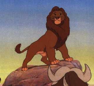 P.O The Lion King Mohatu