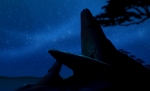 Pride Rock at Night