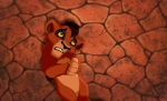 Kovu Apologises