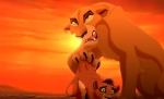 Cunning Cub