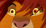 Simba Close-up