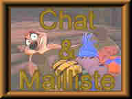 Chat & Mailliste
