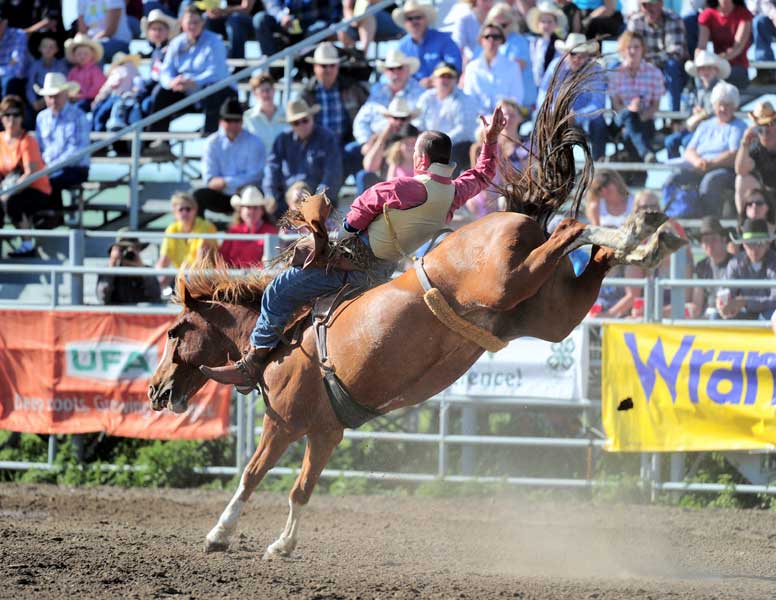 spectators watching a bareback bronc rider