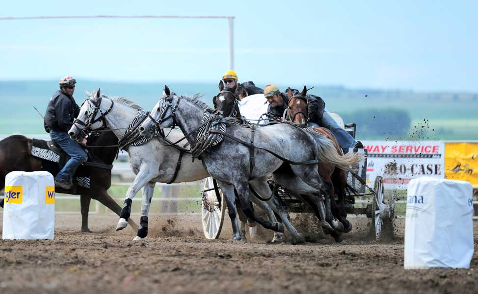 Chuckwagon Legend Kelly Sutherland