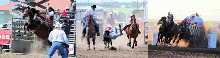 Saddlebronc, Steer Wrestling, Chuckwagons